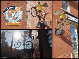 Flyingmonkeycollage