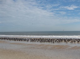 IMG_6055