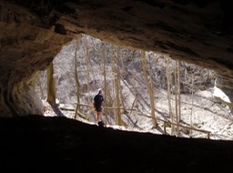 View out